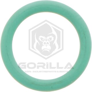 O-Ring