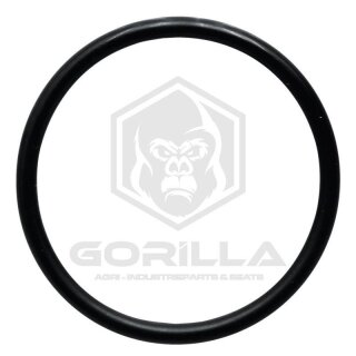 O-Ring | Ø 32 x 2,5 mm