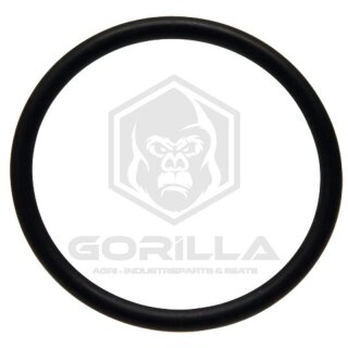 O-Ring | Ø 38 x 3 mm