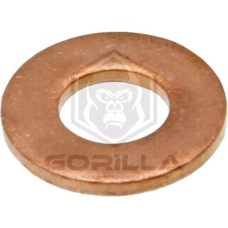 Dichtring