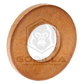 Dichtring