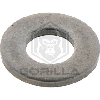 Dichtring