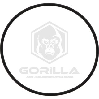O-Ring