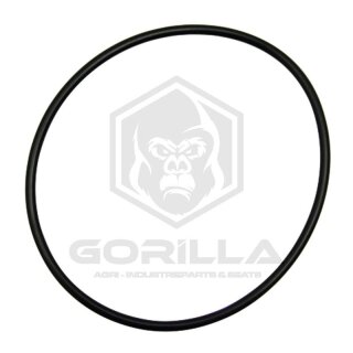 O-Ring | 80 x 3