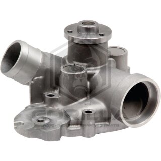 Wasserpumpe