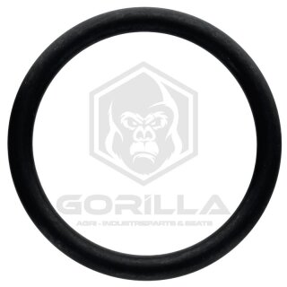 O-Ring | zum Kurbelgehäuse