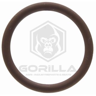 O-Ring | 21,89 x 2,62