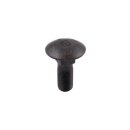 Flachrundschraube - M16x1,5