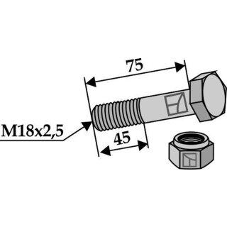 Sechskantschraube M18x2,5x75 mit Sicherungsmutter