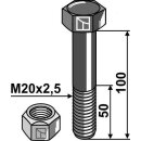 Hexagon Bolt M20x2,5x100 with self-locking nut