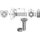 Pflugschraube DIN608 M12x1,75x65 und Sechskantmutter