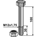 Schraube mit Sicherungsmutter - M12 - 8.8