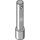 Pin
