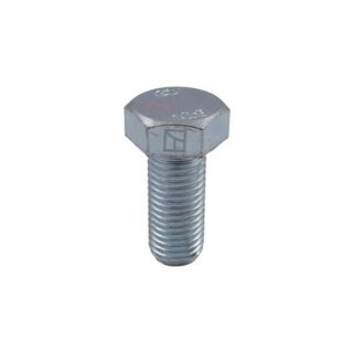 Schraube M24x3x55