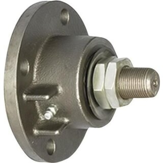Disc-hub with convex bearing surface