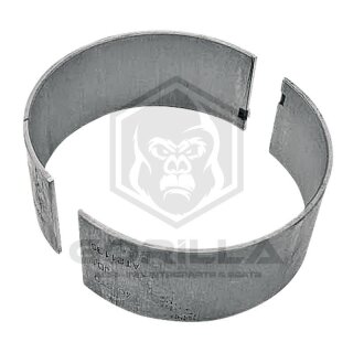 Pleuellager | Standard