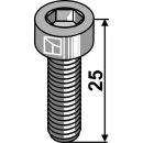 Hexagon socket bolt M12x1,75x25