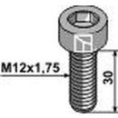 Hexagon socket bolt - M12x1,75 - 10.9