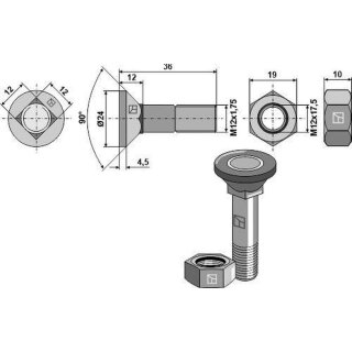 Plough bolt M12x1,75x36 and hexagon nut