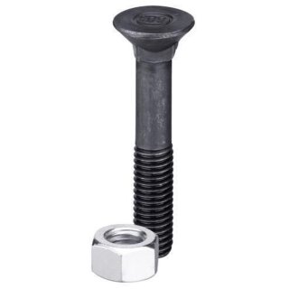 Plough bolt DIN608 M12x1,75x85 and hexagon nut