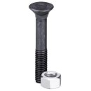 Plough bolt DIN608 M14x2x90 and hexagon nut