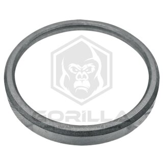 Ventilsitzring | Auslass