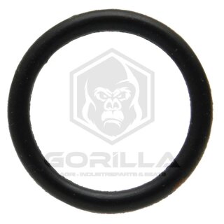 O-Ring