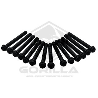 Zylinderkopfschraubensatz | 14 StückGewindemaß: M16 x 2 Länge: 149 mmSW 19