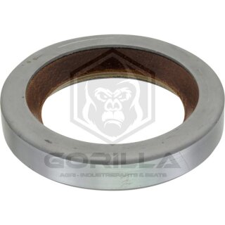 dichtring